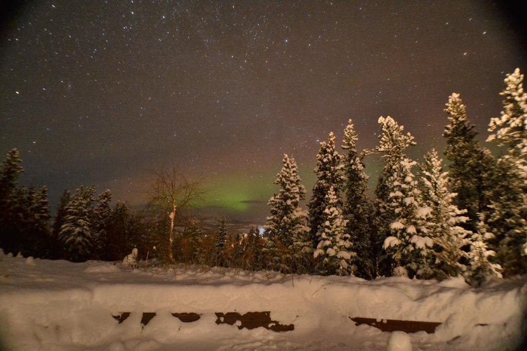 Hidden Valley Bed&Breakfast Whitehorse Eksteriør bilde